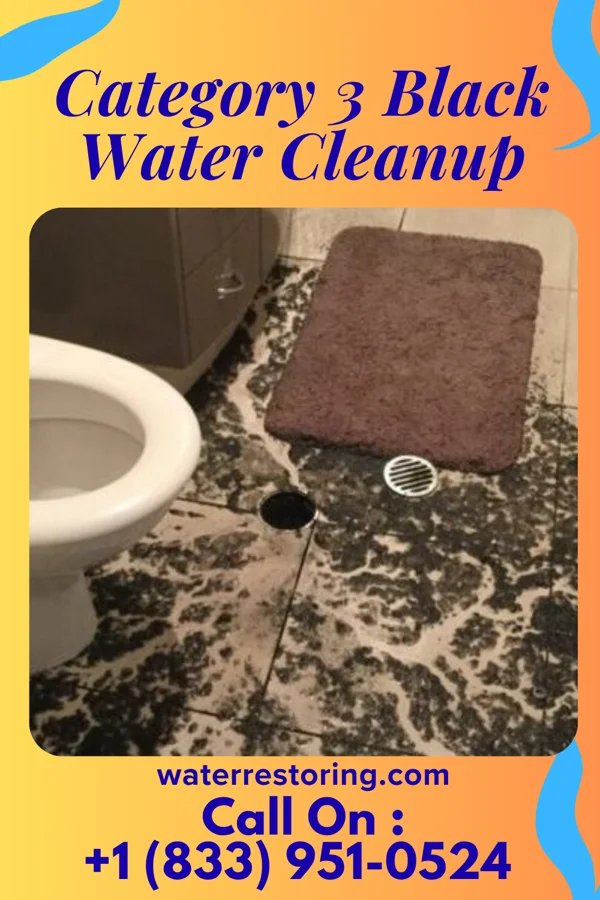 Category 3 Black Water Cleanup in Hahira, GA